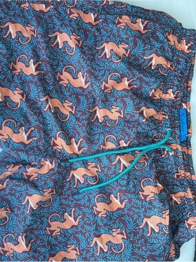 Mens One-Piece Swim Trunks with Fox Print - Teal Drawstring